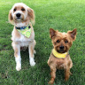 Meet your Posher, Laurie